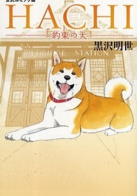 Hachi: A Dog's Tale
