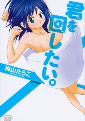 Kimi wo Mawashitai
