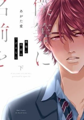 Bokura ni Namae o Tsukeru Nara