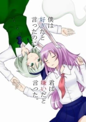Touhou Project dj - I Said I Love You, but You Said You Hate Me