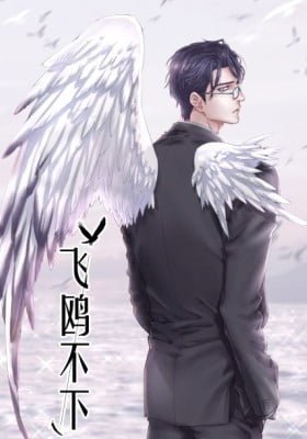 Flying Gulls Never Land (Colored)