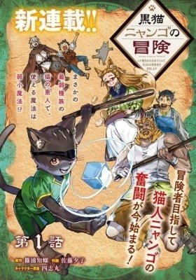 Kuroneko Nyango no Bouken ~ Rare Zokusei o Hikiatetanode, Kimamana Bouken-sha o Mezashimasu ~