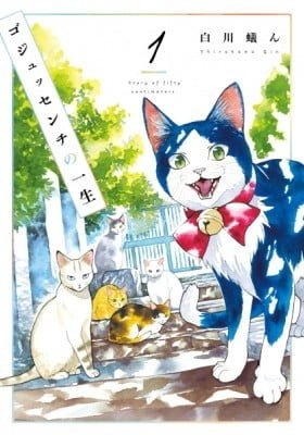 A Story of Seven Lives