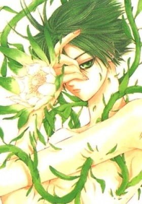 Wild Rose