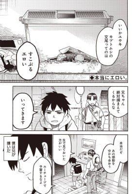 Kabutomushi to Nii-chan