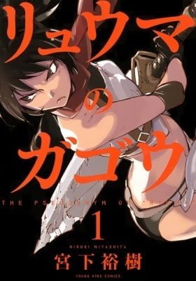 The Pseudonym of "Ryuma"