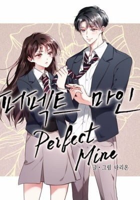 Perfect Mine
