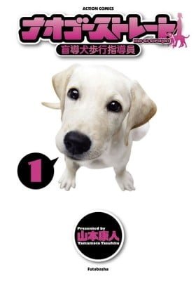 Nao Go Straight -Guide Dog Trainer-