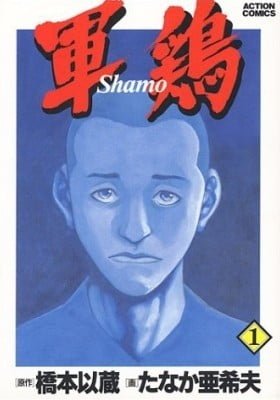 Shamo