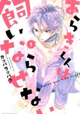 Araki Won't Be Tamed