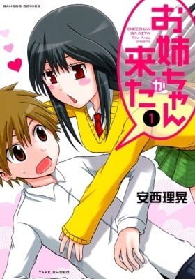 Onee-chan ga Kita