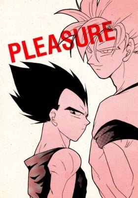 PLEASURE