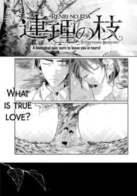 Renri no Eda (SHIMOKAWA Saki)
