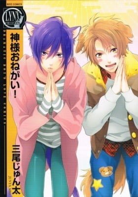 Kami-sama, Onegai!