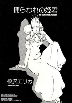 Toraware no Himegimi (SAKURAZAWA Erica)