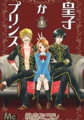Ouji ka Prince