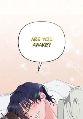 The Fairy's Wish