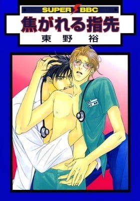 Gay's Anatomy