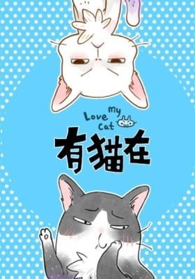Love My Cat
