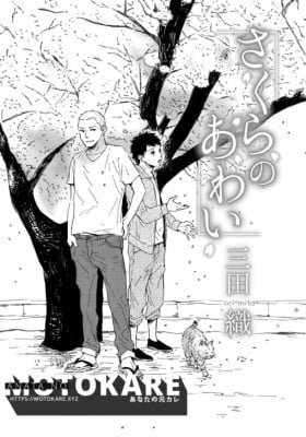 Sakura no Awai