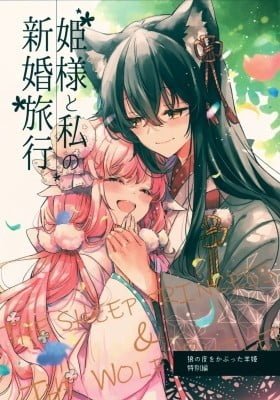 My Honeymoon With the Princess