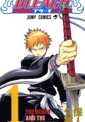 Bleach (Colored)