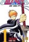 Bleach (Colored)