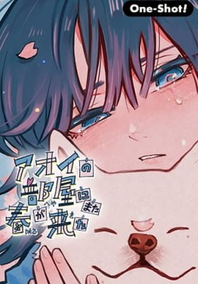 Spring Returns to Aoi's Room