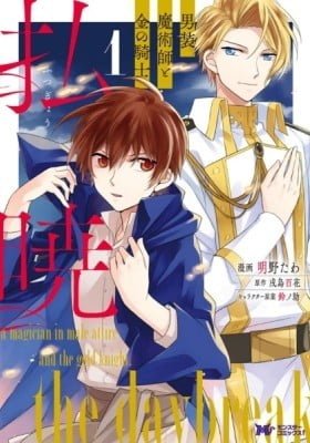 The Daybreak: A Magician in Male Attire and the Gold Knight