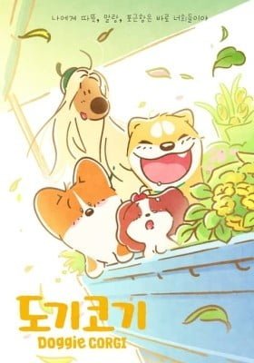 Doggie Corgi