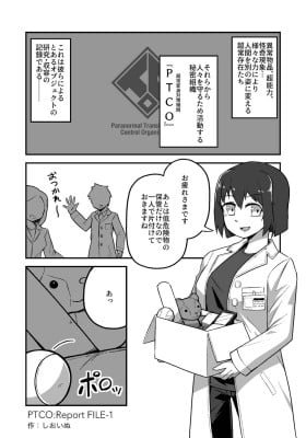 PTCO:Report FILE-1