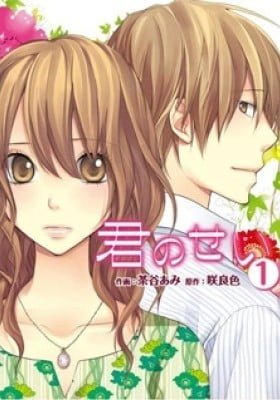 Kimi no Sei