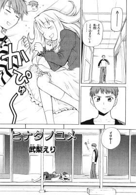 Fate/Stay Night dj - Hinata no Yume