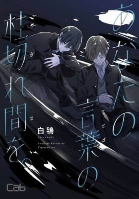 Anata no kotoba no togirema wo