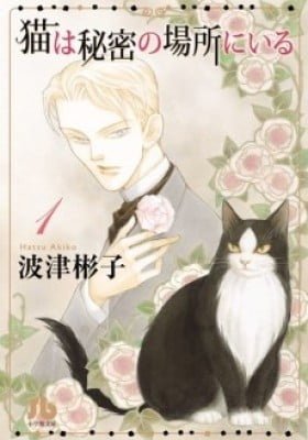 The Cat Is in a Secret Place