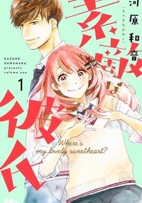 Suteki na Kareshi