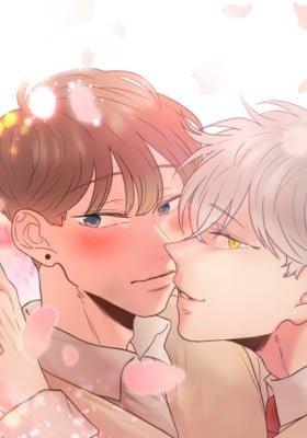 Voice of Love (Colored)