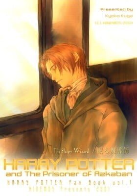 Harry Potter dj - The Sleepy Wizard