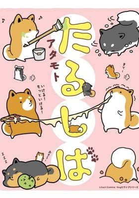 Taru Shiba