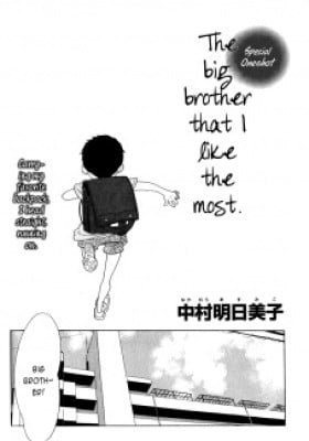 The Big Brother That I Like The Most