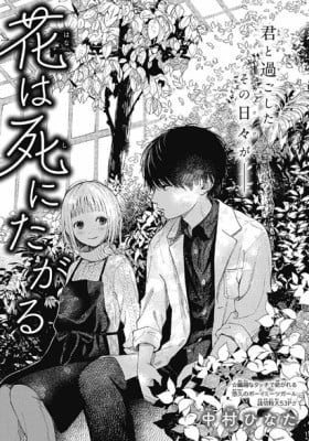 Wilted Flower
