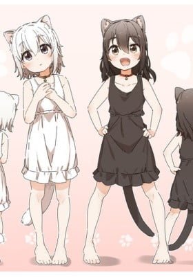 Shiro Kuro Neko (Colored)