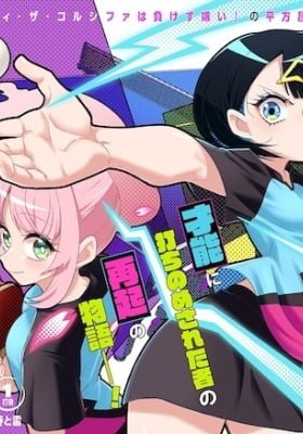 Shunrai Table Tennis