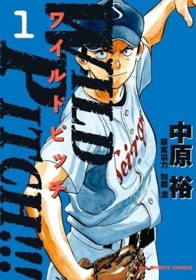 WILD PITCH!!!