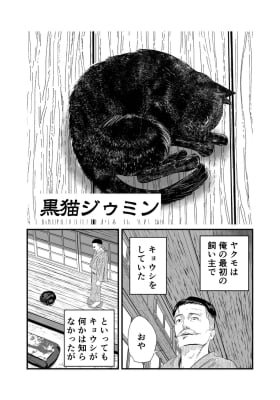 Black Cat Jiumin