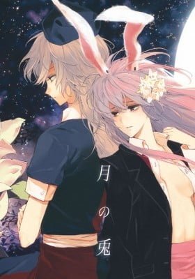 Touhou Project dj - Rabbit of the Moon