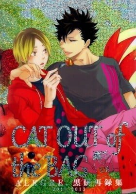 Haikyu!! dj - Cat Out of the Bag