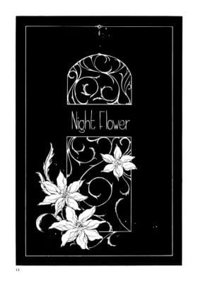 Night Flower