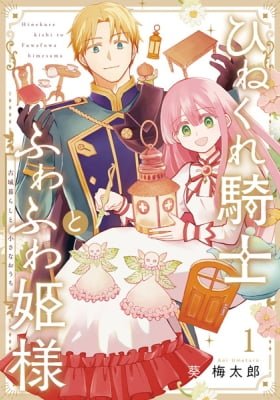 The Cynical Knight and Gentle Princess: Building Fairy Homes and a Life Together