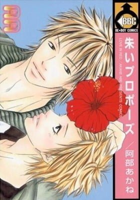 Akai Proposal
